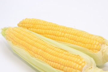 とうもろこし　コーン　野菜
