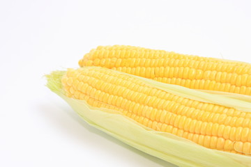とうもろこし　コーン　野菜