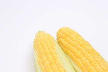 とうもろこし　コーン　野菜