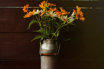 Autumn rural concept, flowers in mug on firewood foreground with copy space. Sunny light