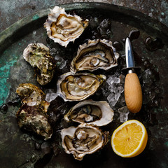 Open shucked fresh Oysters with lemon on ice on dark background