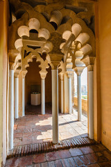 courtyard of alcazaba castle in Malaga, Costa del Sol, Spain