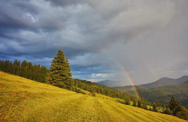 Rainbow and sunshine after rain