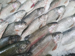 Fresh live fish on ice on open market