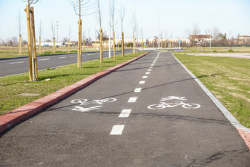 Pedestrian and bicycle riders sharing the street lanes with road marking in the city.