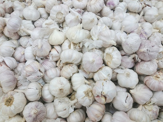 Garlic on display. a lot of fresh raw garlic a bunch of lies on the shelves., Fresh garlic in a market