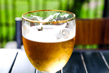 The bee fell in the sweet cider. Refreshing Apple cider on a wooden table. Cider in a glass Cup. Summer street cafe.