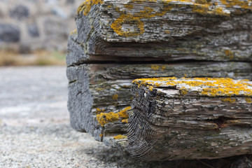 Old wood peace on concrete