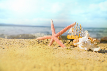 Fototapeta na wymiar Beach and Summer background - Close up of starfish and seashells on white sand background with white coarse sand