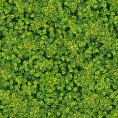 Бесшовная векторная текстура зеленой древесной листвы с ветками - obrazy, fototapety, plakaty