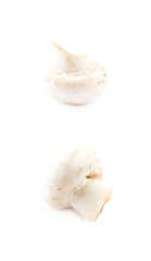 Raw champignon composition