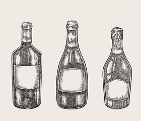 Hand drawn wine bottles in sketch style. Vector illustration vintage.