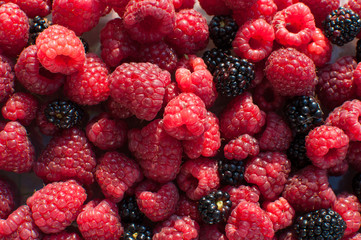 Forest fruits - Blackberries and raspberries © Marcin