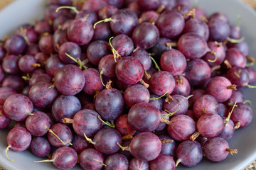 Fresh gooseberry on a plate. It can be used as a background