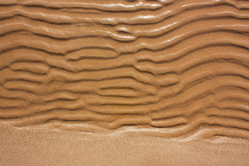 The background of sand