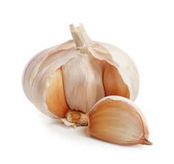 Fresh garlic on white background