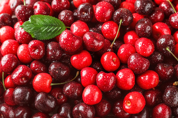 Fresh ripe cherry as background