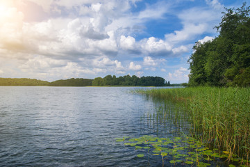 Summer Lake in a forest at sunny day 