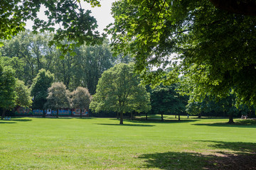 Public park with green grass field