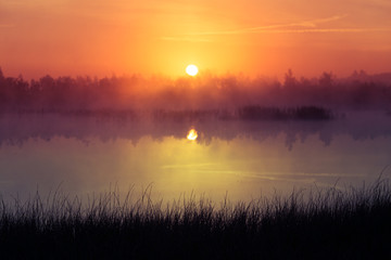 A beautiful, pink sunrise ower the swamp. Sun rising in wetlands, purple misty atmosphere. Latvia, Northertn Europe