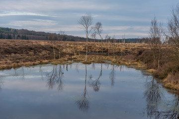 The swamp Hochmoor Mecklenbruch in Low Saxony, Germany