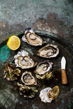 Open fresh Oysters with lemon and knife on dark background copy space