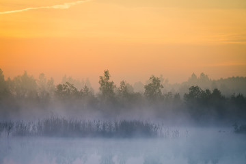 Fototapeta premium A beautiful, colorful landscape of a misty swamp during the sunrise. Atmospheric, tranquil wetland scenery with sun in Latvia, Northern Europe.