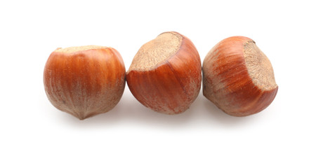Tasty hazelnuts on white background