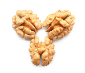 Tasty walnuts on white background
