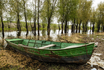 Boat in the marshes/green paint metal plate boat docked at shore in the marshes of Danube river with vegetation and garbage around.