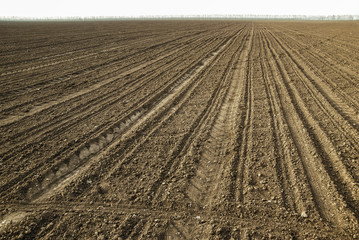 Agricultural pattern/Vast earth field prepared for seeding with pattern lines across towards the horizon where a line of trees can be seen.