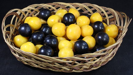 Yellow and blue plums in a wicker basket.