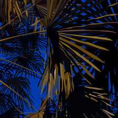 illuminated palm leaves on the night sky background