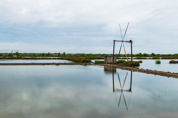 Windmills and salt field.