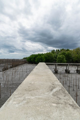 Boardwalk and breakwater at mangrove forest.