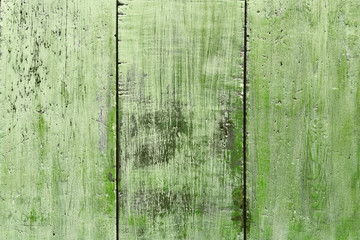 Fototapeta na wymiar green wooden wall