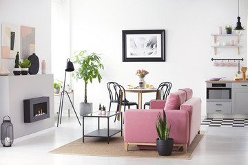 Kitchenette in open space interior with poster above table and plant next to pink sofa. Real photo