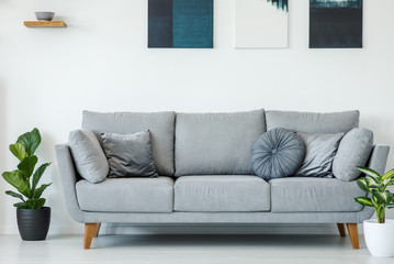 Comfy, grey sofa decorated with pillows between plants on a white wall with paintings in a living room interior