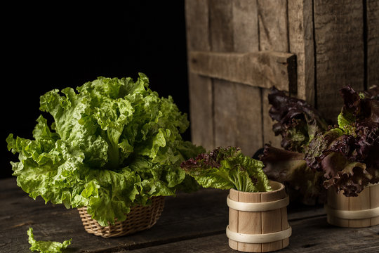 Fresh green lettuce salad on wooden  table