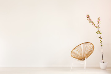 Flower behind gold armchair in white empty living room interior with copy space on the wall. Real...