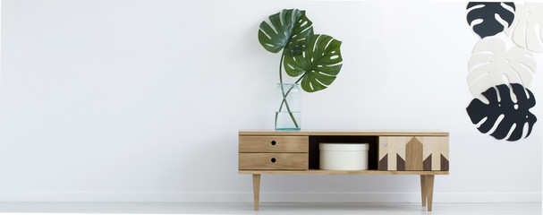 Wooden retro cupboard with two fresh Monstera Deliciosa leaves in glass vase in real photo of white...