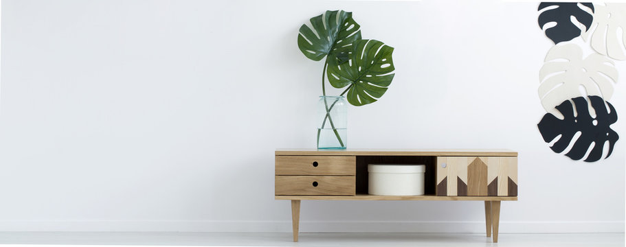 Wooden retro cupboard with two fresh Monstera Deliciosa leaves in glass vase in real photo of white room interior with empty space for your armchair