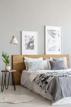 Plant on table next to wooden bed in grey bedroom interior with lamp and posters. Real photo