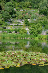 Fototapeta na wymiar Botanic garden of Trauttmansdorff Castle at Meran on Italy