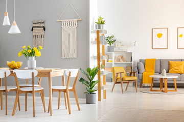 White wooden chairs at dining table in bright open space interior with armchair and couch. Real photo