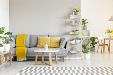Yellow pillows and blanket on grey sofa in modern living room interior with plants and carpet. Real...