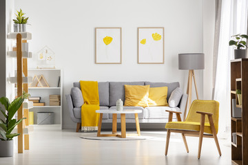 Yellow wooden armchair in bright living room interior with posters above grey sofa. Real photo