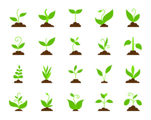 Grass simple flat color icons vector set