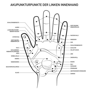 Akupunkturpunkte der linken Innenhand 
