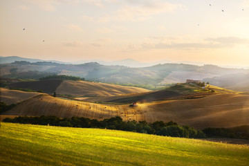 Fototapeta na wymiar Italy. Tuscany farmland and rolling hills; summer countryside Landscape